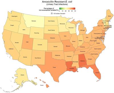 Epidemiology of companion animal AMR in the United States of America: filling a gap in the one health approach